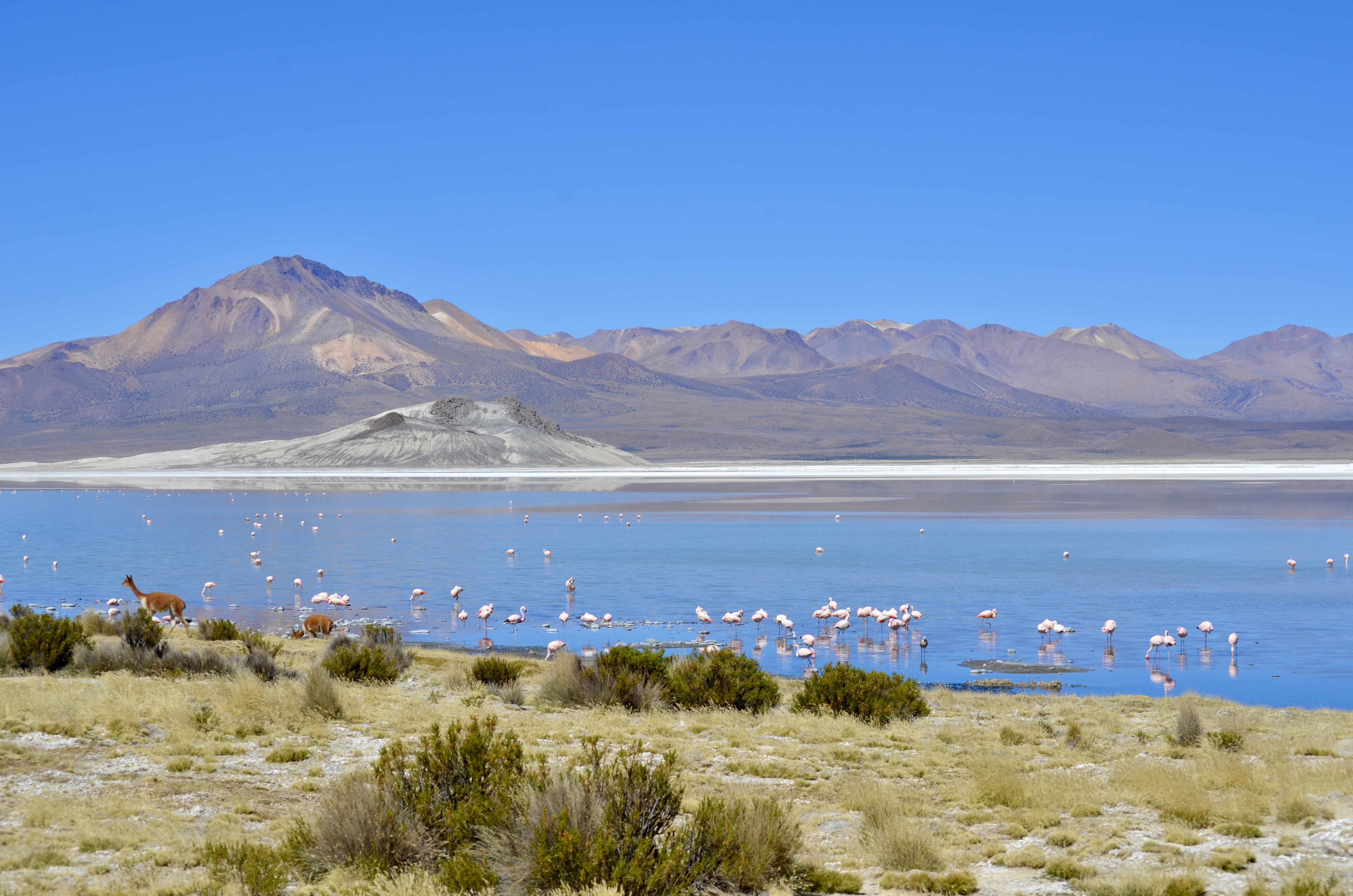 Gran Atacama