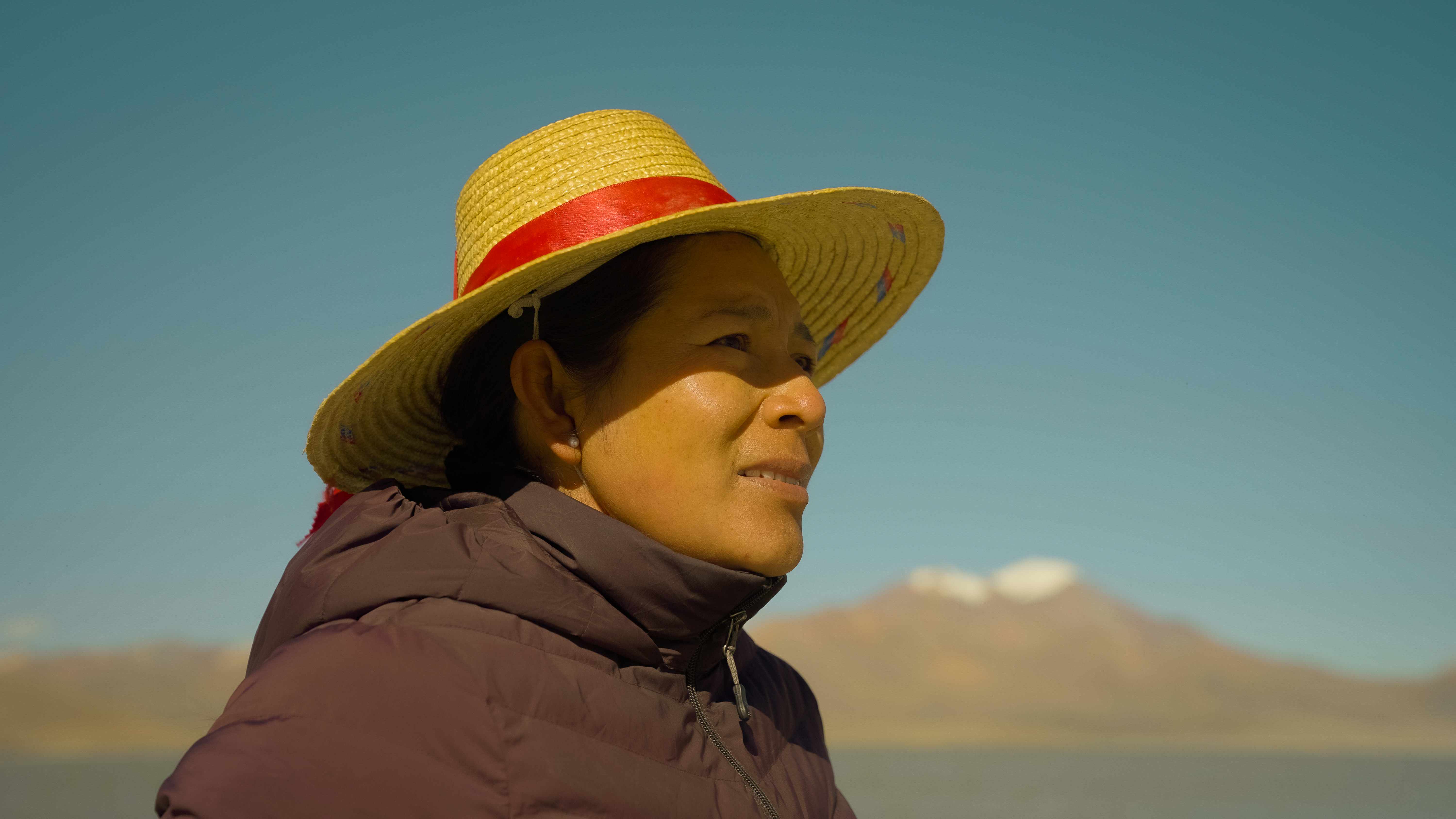 Gran Atacama