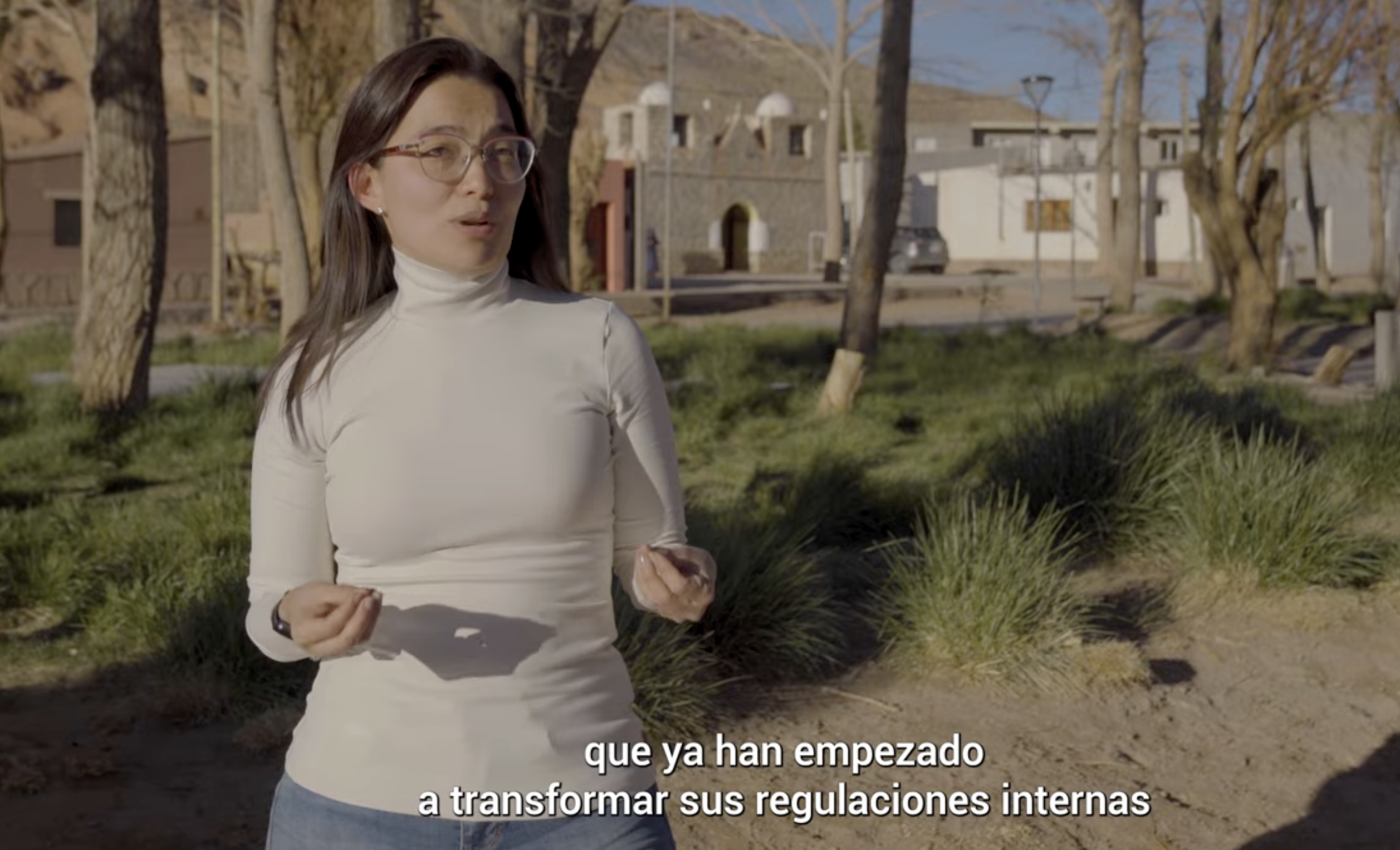 La transición energética impulsada por países del norte glob