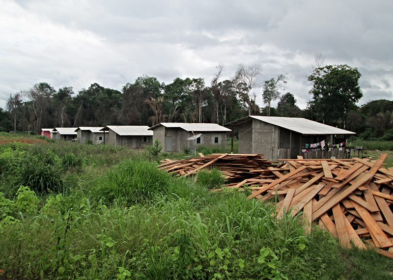Cement houses stand in the jungle.