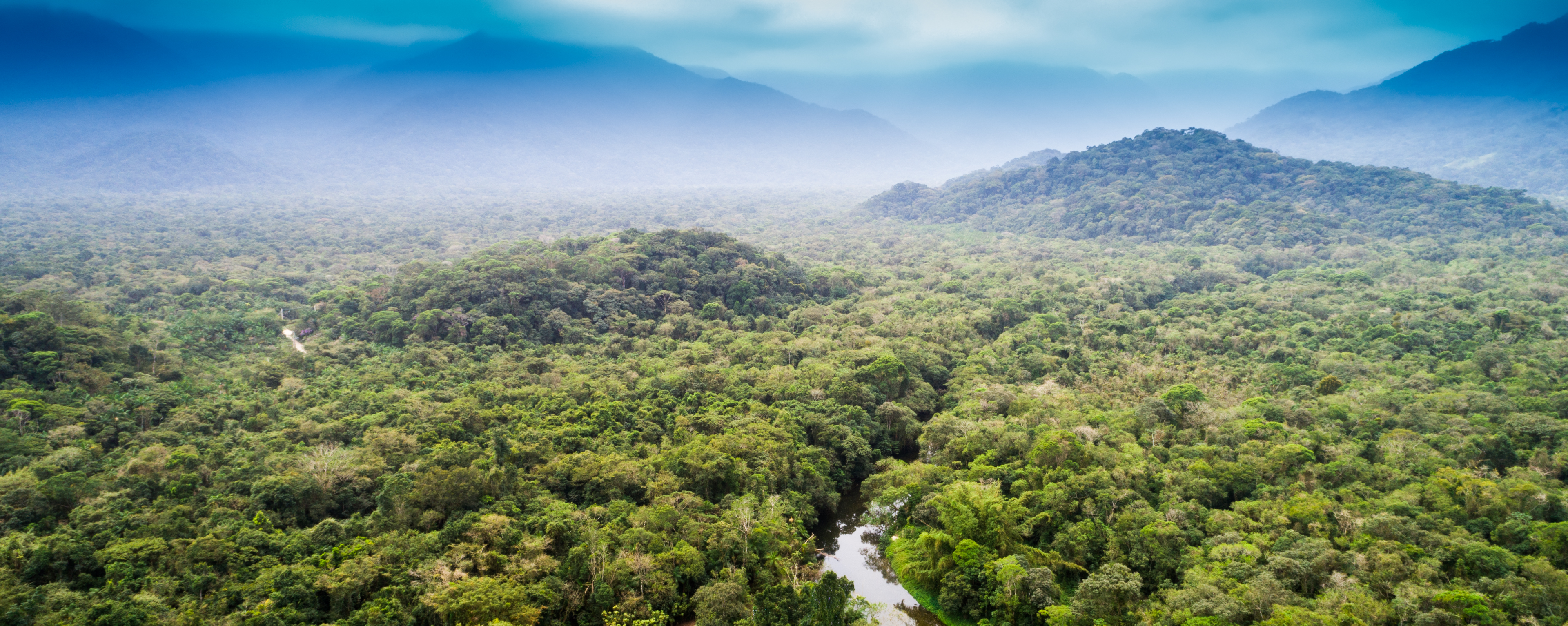 Preservem a Amazônia! 