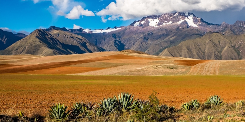 Creamos la Red de Justicia Ambiental en Bolivia 