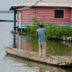 Ciénaga Grande de Santa Marta in Colombia