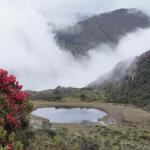 Páramo de Santurbán, Colombia