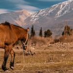 Mendoza, Argentina