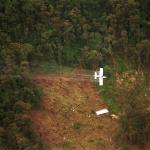 Plan Colombia: Fumigación aérea de cultivos de coca y amapola