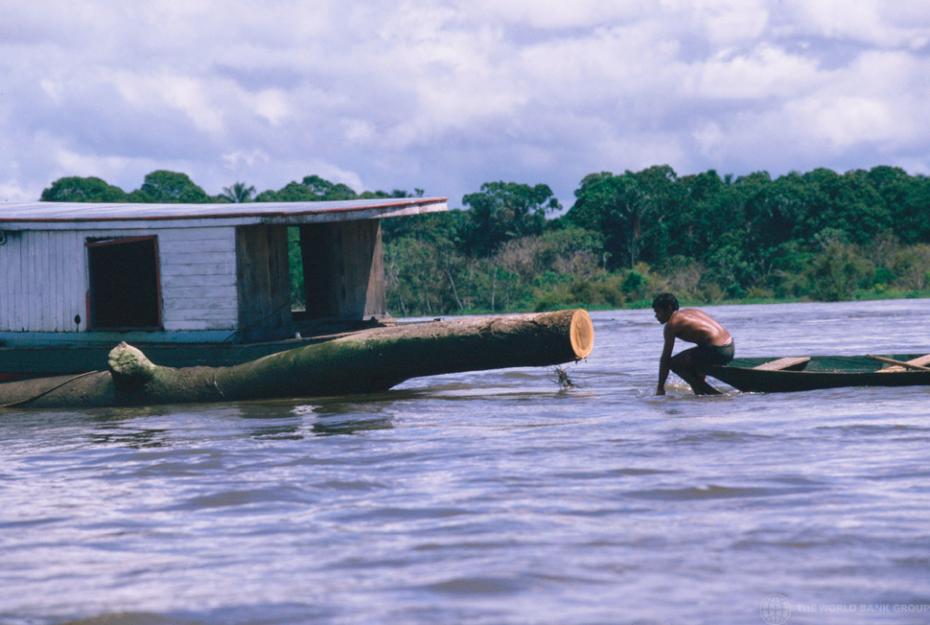 Fisherman in the Amazon Basin