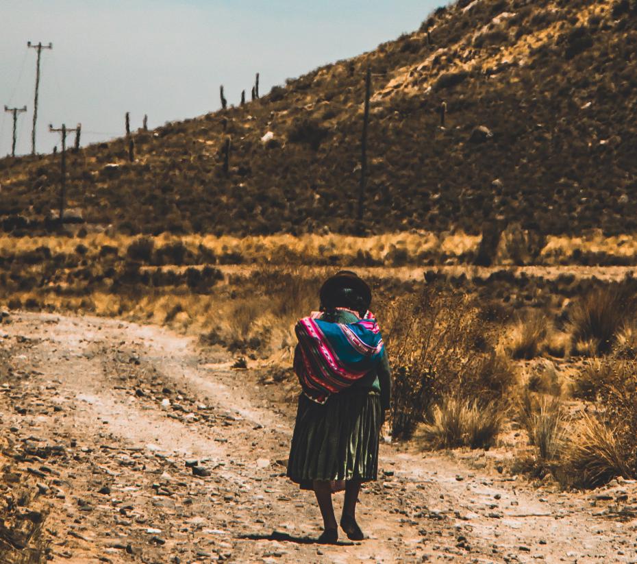 Mujer campesina camina en el altiplano boliviano