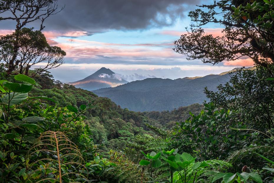 Forest, Water, and Struggle: Environmental Movements in Costa Rica