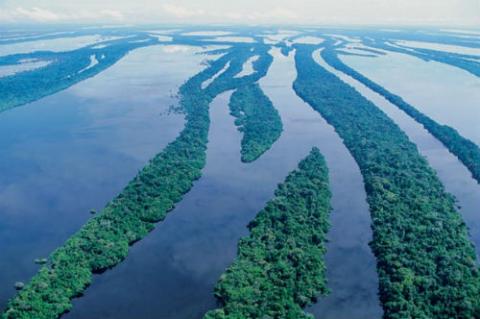 Foto: Cuenca del Amazonas, Brasil, aquella que se pretende llenar de represas. Crédito: Peter Gebhard. Fuente: www.mundo-geo.es