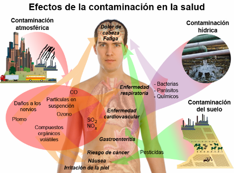 Infografía: Efectos de la contaminación, incluida la atmosférica, en la salud humana. Fuente: Mikael Häggström/Wikimedia Commons