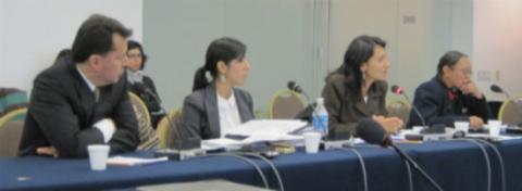 Foto: Audiencia del caso La Oroya ante la Comisión Interamericana de Derechos Humanos, marzo de 2010. Crédito: AIDA.