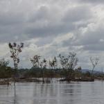 Xingu River