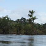 Rio Xingu, Amazônia