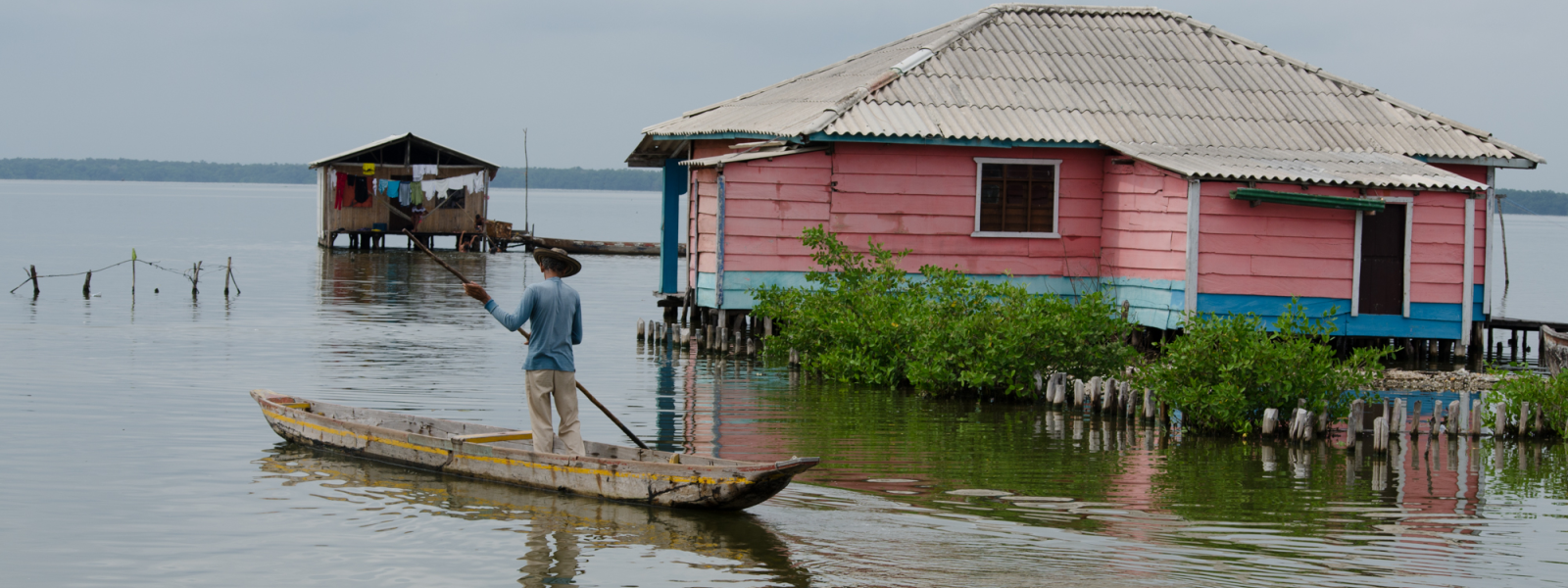 Hombre recorre en balsa la Ciénaga Grande de Santa Marta, Colombia