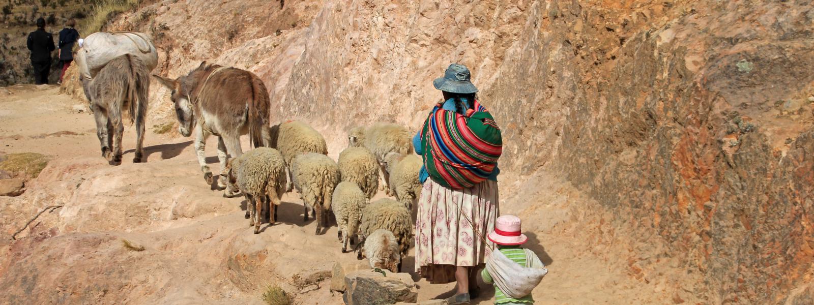 Shepherdess on Isla del Sol, Bolivia.