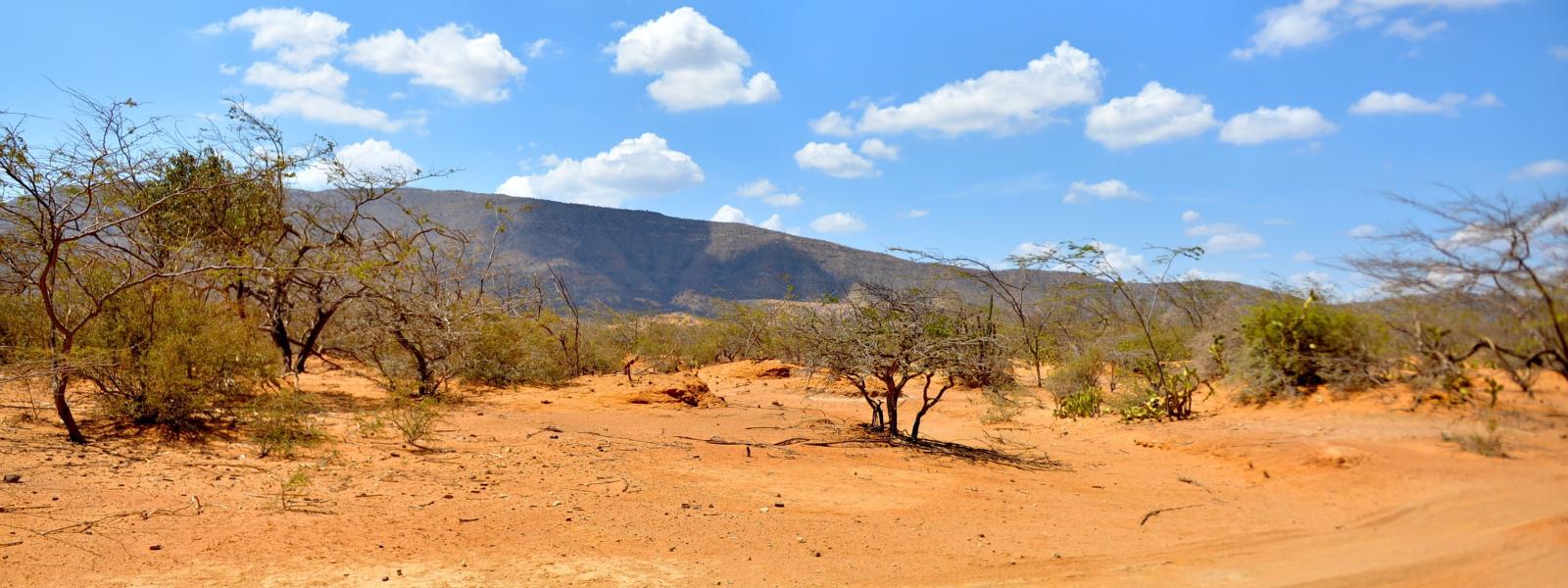 Desertic landscape in La Guajira, Colombia.