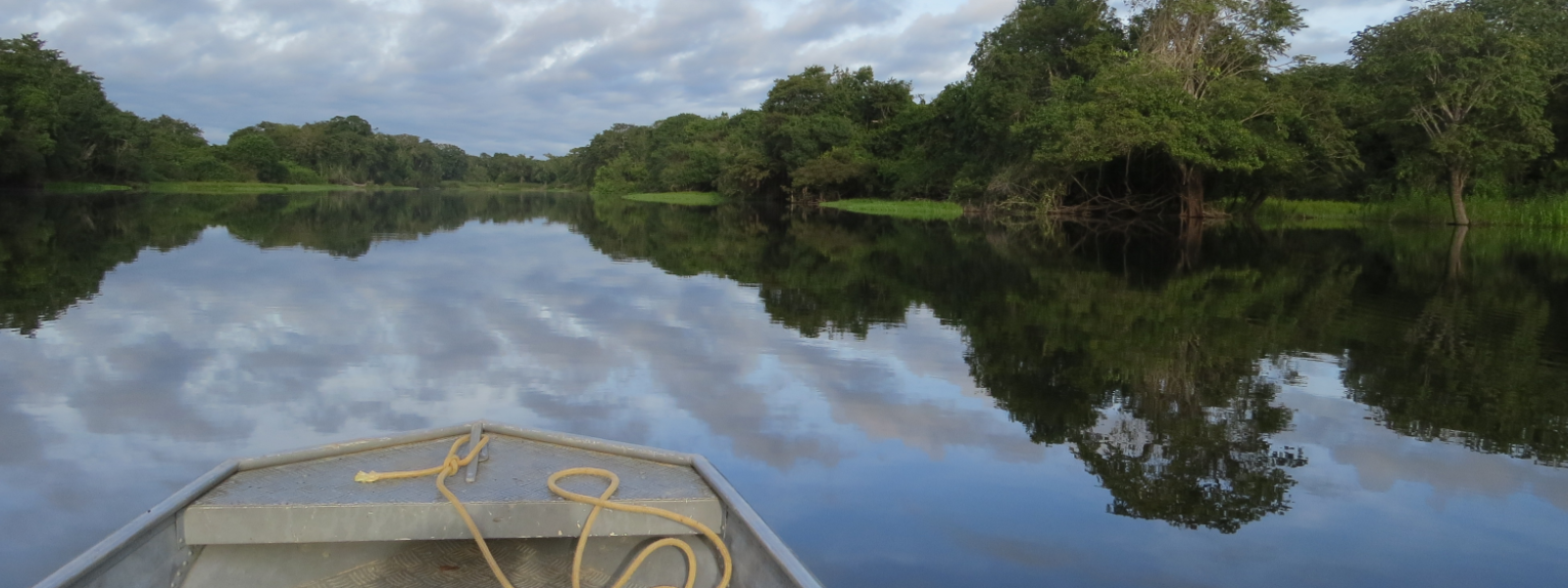 Río Guaporé, Amazonas
