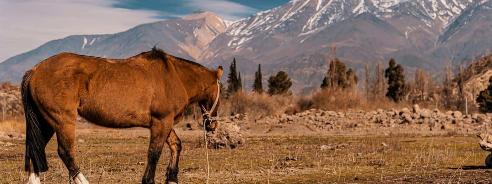 Mendoza, Argentina