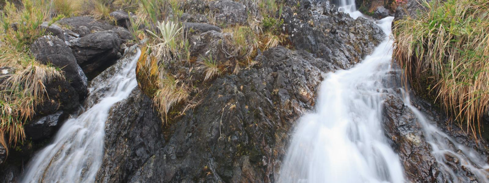 waterfall in the Santurbán páramo
