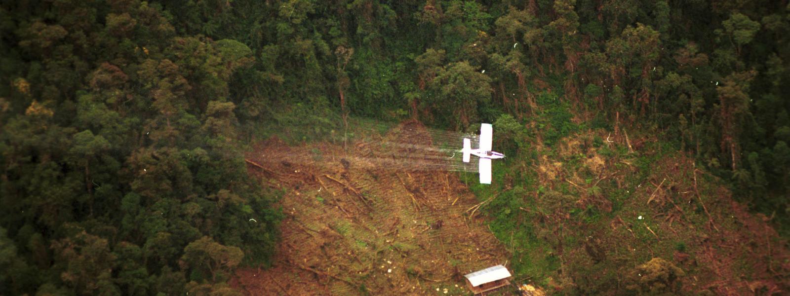 Plan Colombia: Aerial Spraying in Colombia