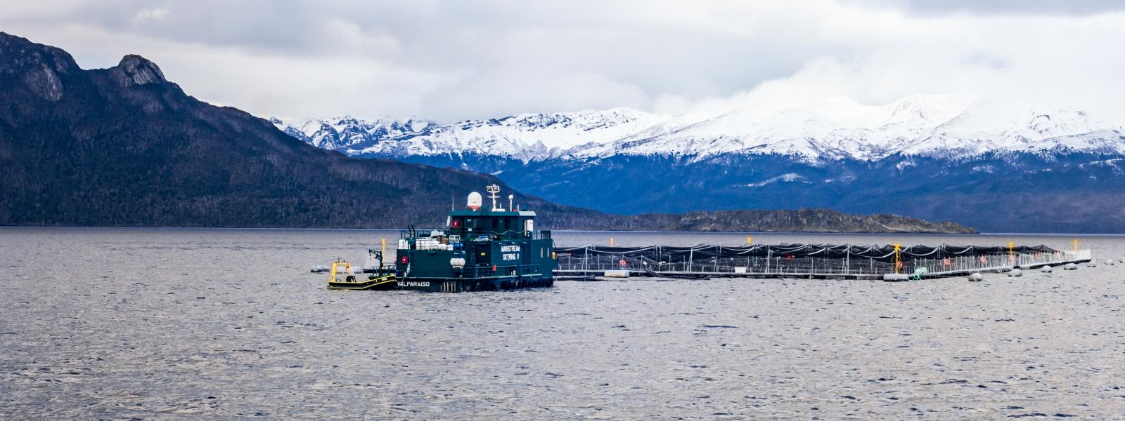 salmon farm in the water in front of a snowcapped mountain in Patagonia