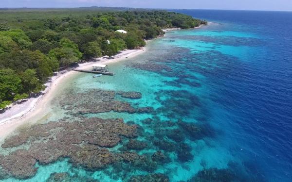 Tropical coastline with reef