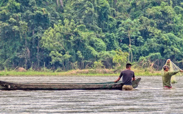 un hombre conduciendo una canoa en un río
