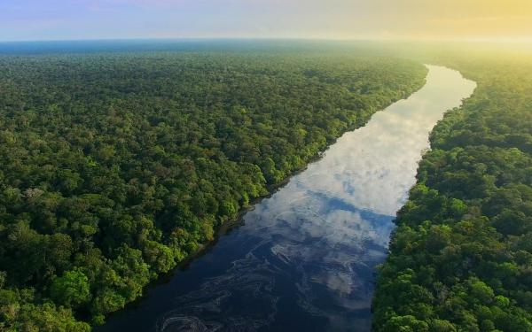 river running through wetland, sunrise on horizon