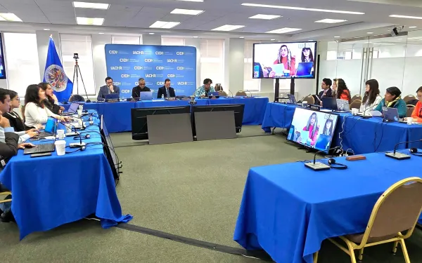 Audiencia ante la CIDH "Impactos de la extracción de minerales en el contexto de transición energética"