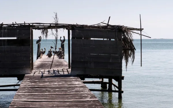 Isla Aguada, Campeche, México
