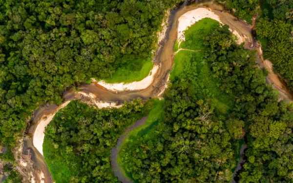 río en la Amazonía