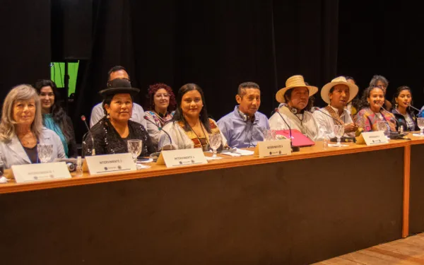 participación en audiencia pública de la Corte IDH