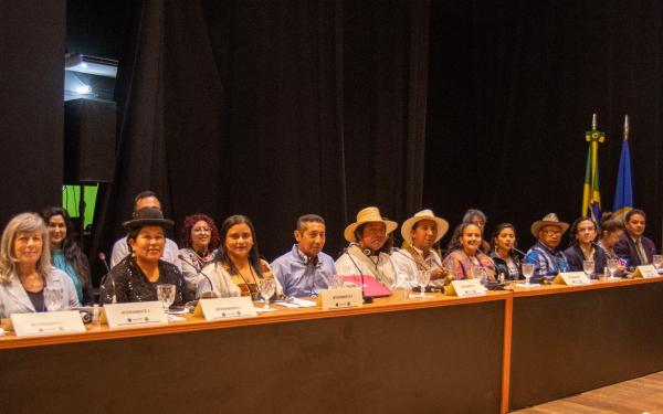 Comunidades de América Latina en audiencia sobre emergencia climática ante la Corte IDH