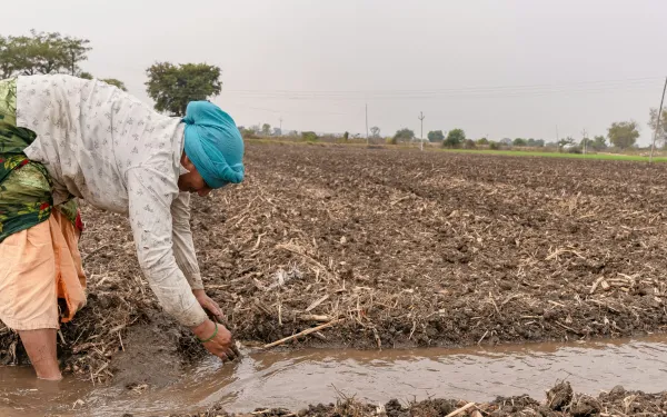 Mujer campesina en un día de cosecha