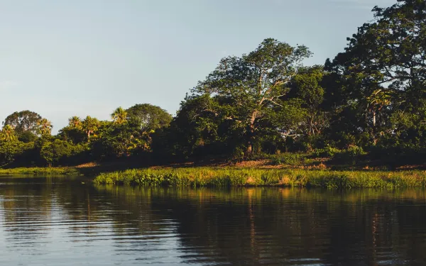 Paisaje del Pantanal en Brasil