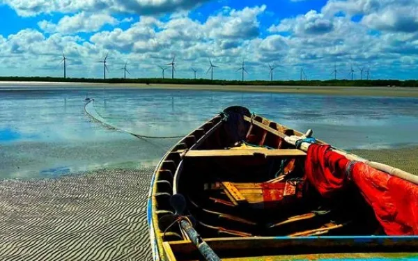 Comunidades tradicionais enfrentam desafio de terem instalados empreendimentos eólicos em seus territórios sem serem consultadas