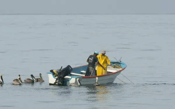 Pescadores en Bahía de Banderas, México