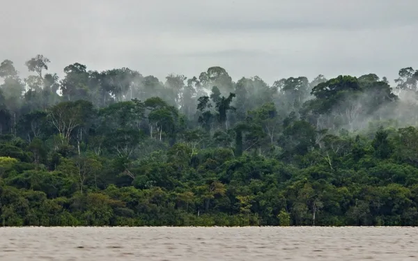 Ribera del río Xingún en Pará, estado ubicado en la Amazonía brasileña