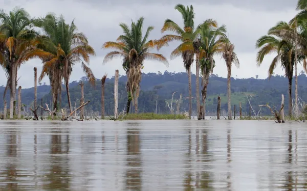 Inundación de islas en el río Xingú para la operación de la represa Belo Monte