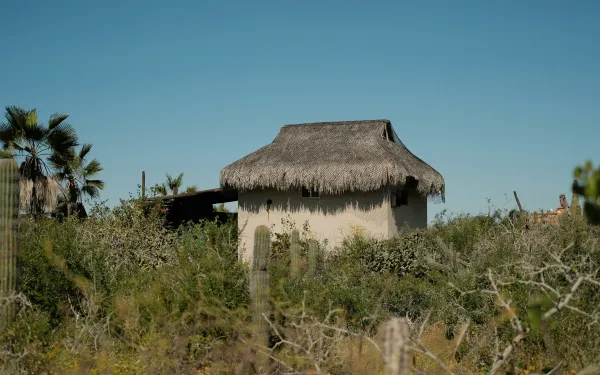 Choza de paja en un paisaje desértico de Los Cabo en México
