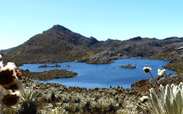 Laguna en la cima del páramo de Santurbán en Colombia