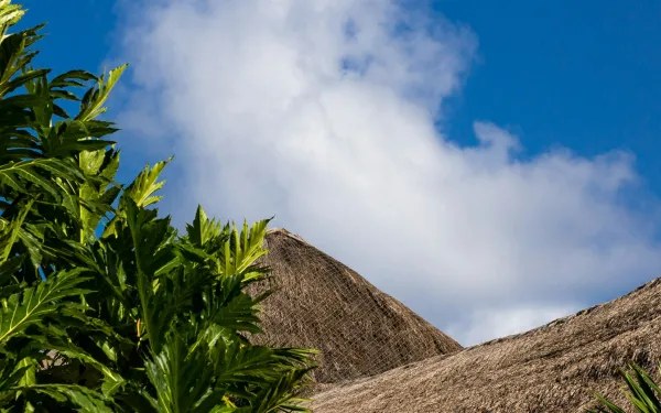 Paisaje tropical en México.