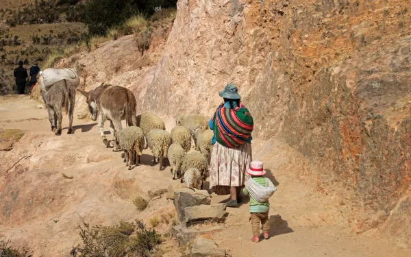 Pastora en la Isla del Sol, Bolivia.