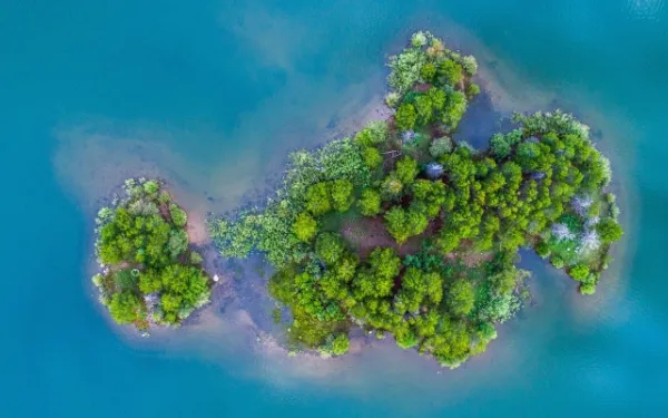 Sumidero natural de carbono.