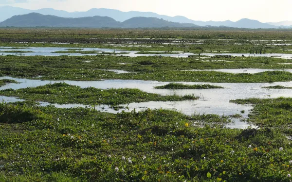 Parque Nacional Palo Verde, provincia Gunacaste, Costa Rica