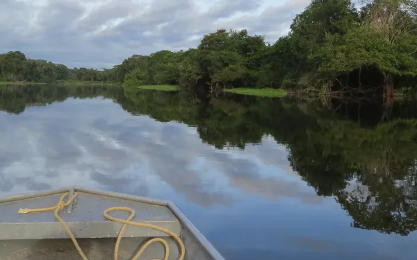 Río Guaporé, Amazonas