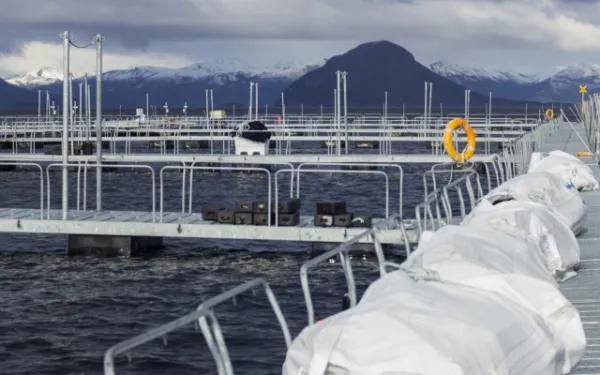 Salmon farm
