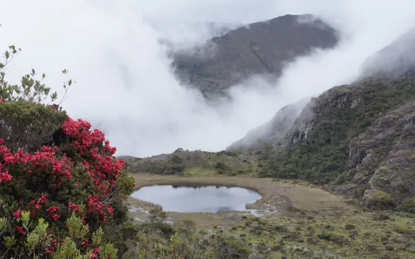 Páramo de Santurbán, Colombia