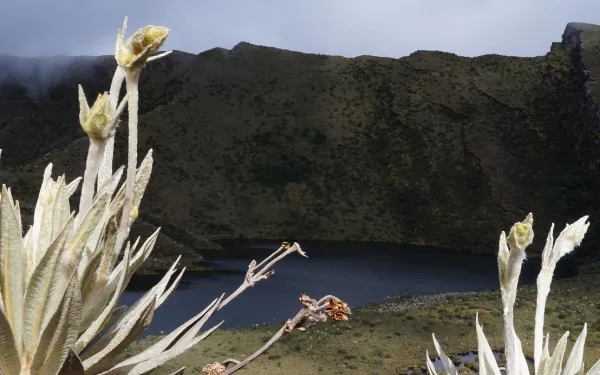 Lagunas de Siecha, Colombia.